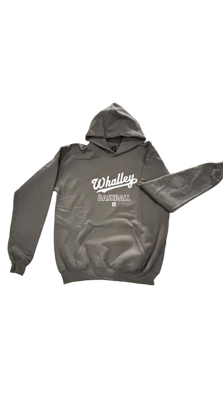 Youth Grey and Blue Hoodie 2026