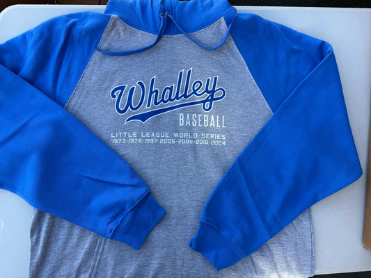 Adult Grey and Blue Hoodie