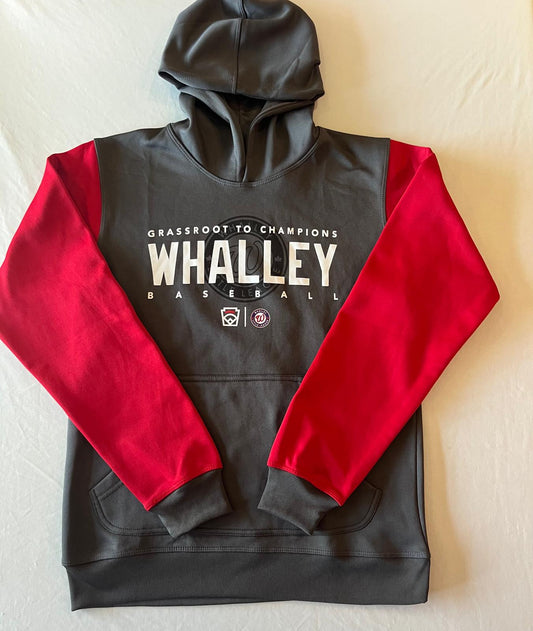 Youth Grey and Red Dri-Fit Hoodie